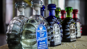  Tudo sobre tequila