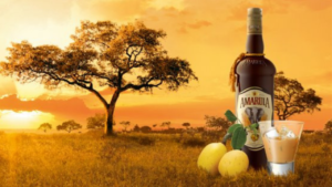 Read more about the article Conheça o Amarula